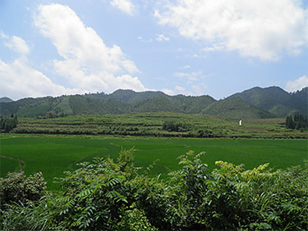 基地全貌