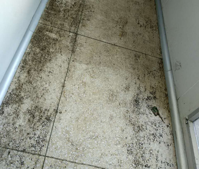 水磨石抛光液,水磨石渗透液,水磨石地面打蜡,水磨石地面翻新,水磨石抛光机,水磨石打磨机,水磨石抛光药水