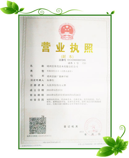 20150911110519_1419