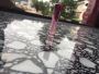 【邵阳】水磨石塑料花 好牛环境倍受欢迎