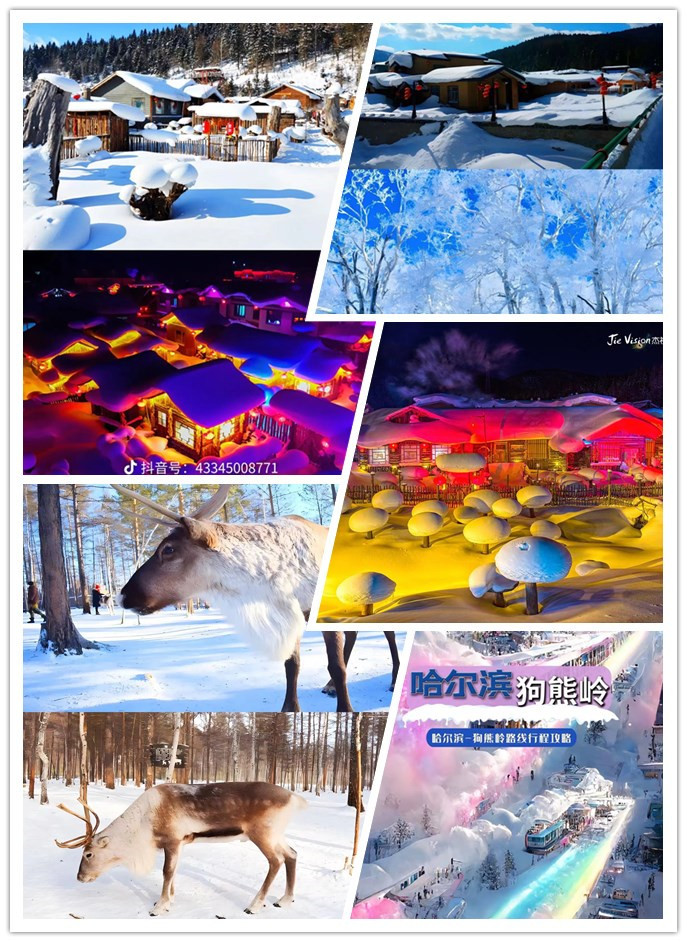 C:\Users\Administrator\Desktop\2023\宣传图片\哈尔滨\initpintu_副本00.jpginitpintu_副本00