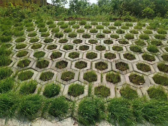 案例展示 (7)