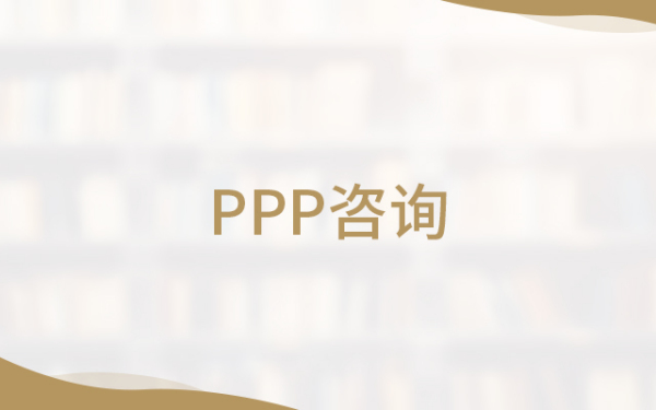 PPP咨询
