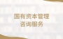 国有资本管理咨询服务