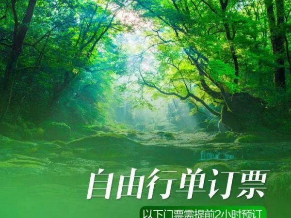 自由行單訂票