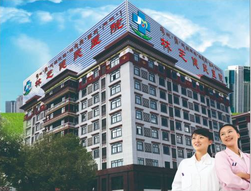 西藏林芝健民醫院