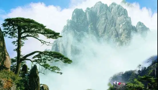 黄山迎客松