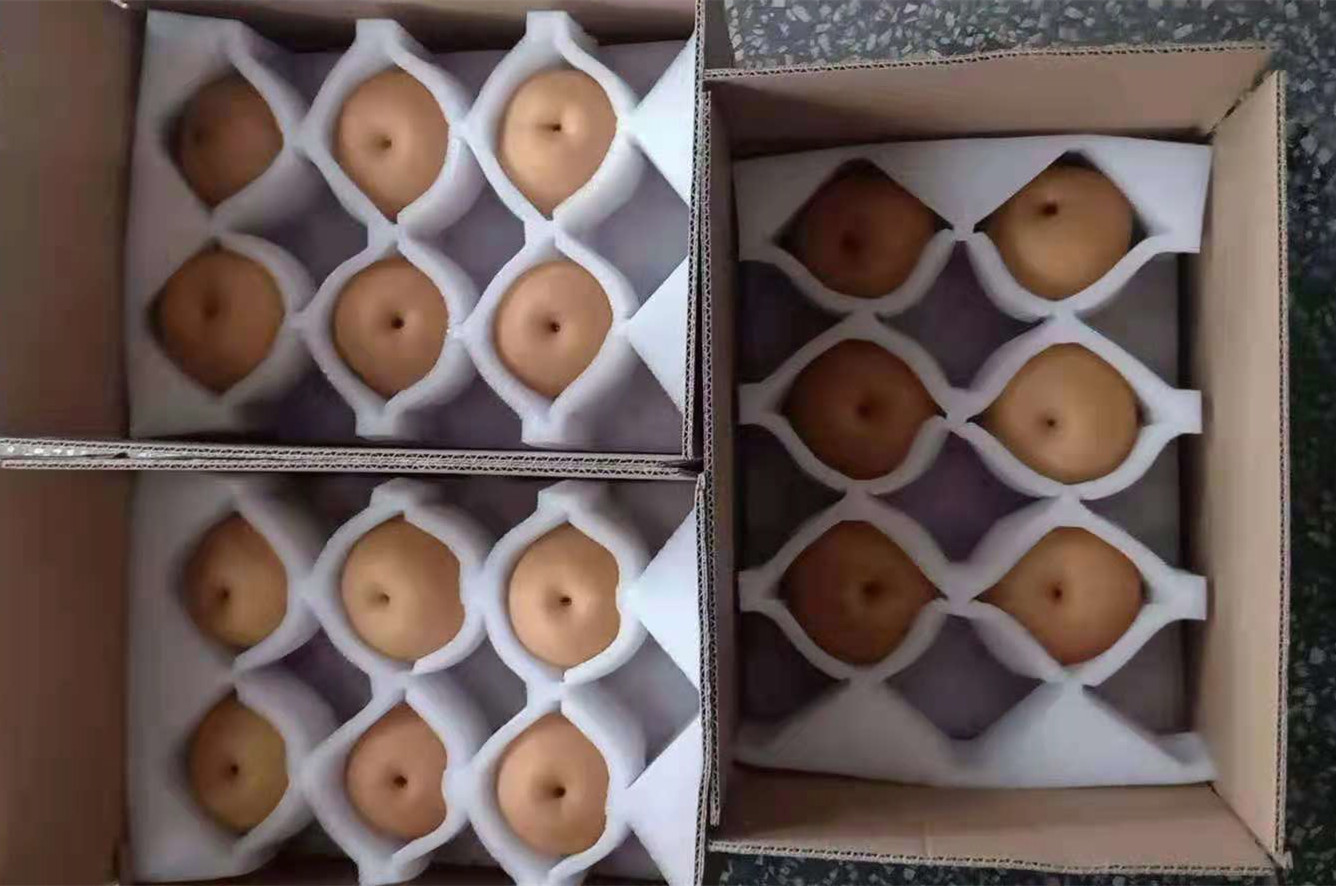 水果包装