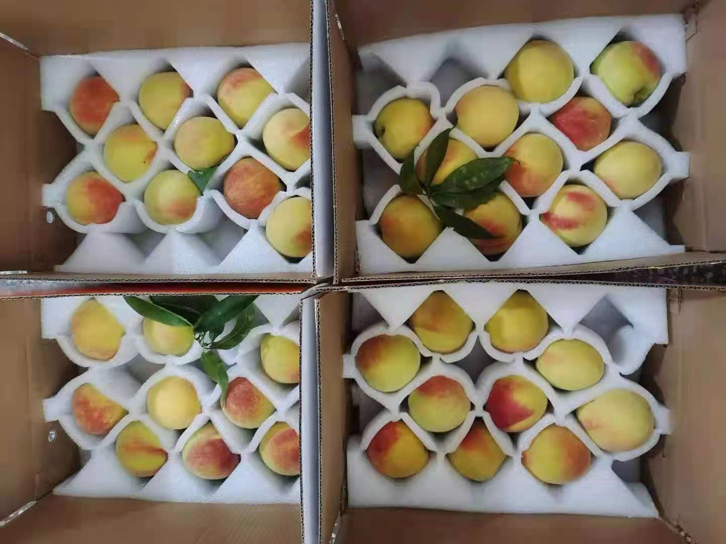 水果包装