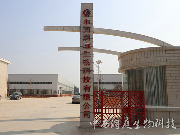 公司实景