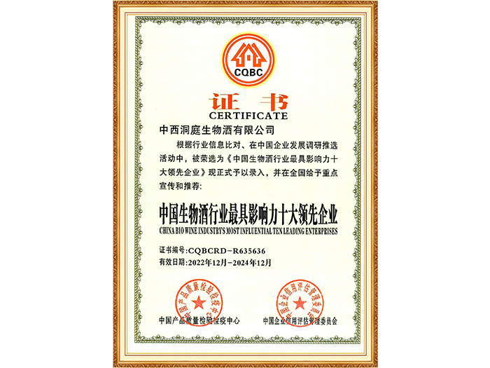 最具影响力十大（2022-2024）