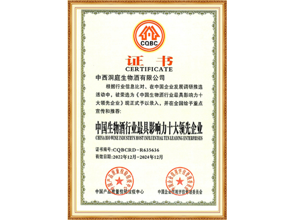 最具影响力十大（2022-2024）