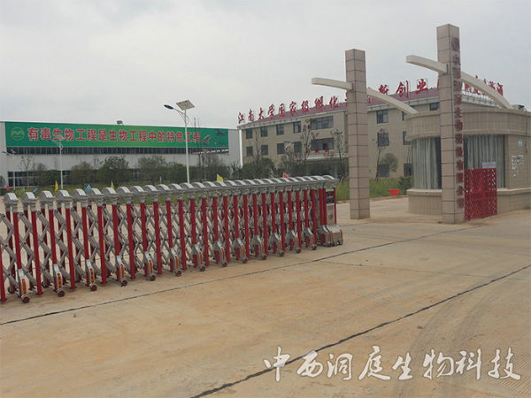 公司实景