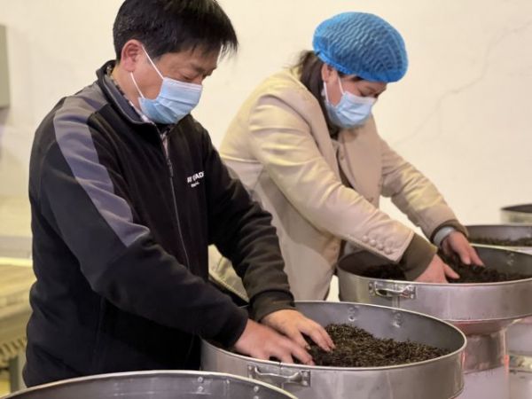 热烈祝贺公司总经理  谭洪波 荣获“国茶人物—制茶大师”