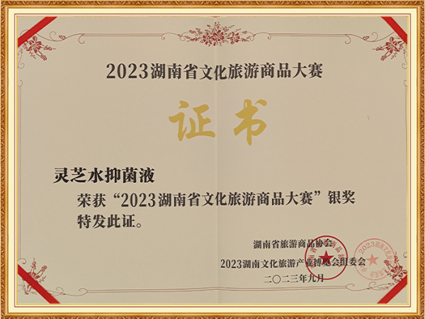2023湖南省文化旅游商品大赛银奖