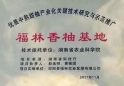 图片 6