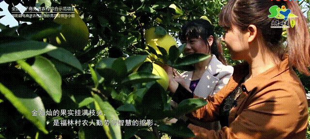 图片 17