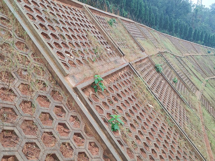 透水砖案例66