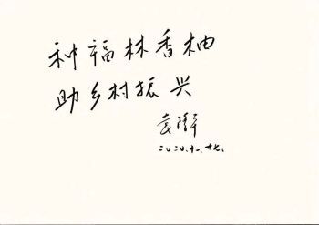 图片 14