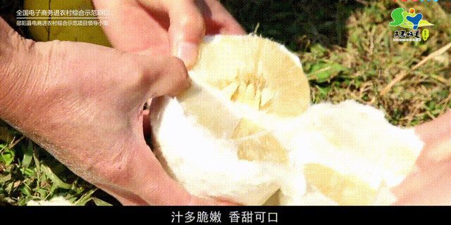 图片 7