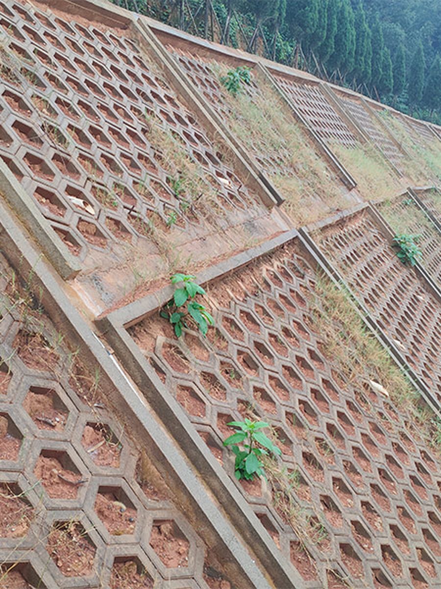 透水砖案例