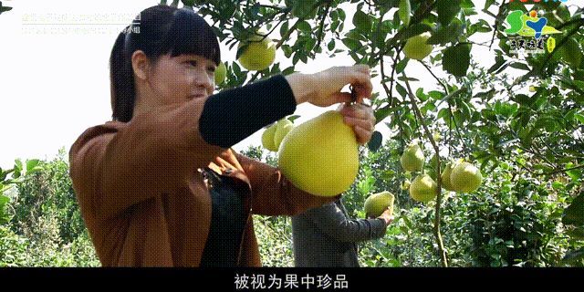 图片 1 (2)