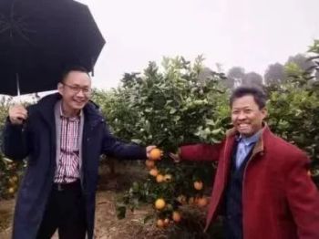 图片 16