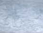 天鵝絨