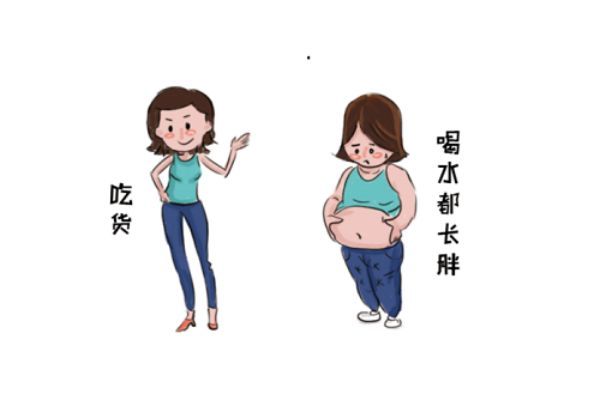 【科普】喝涼水都長肉，可以找腸道里的細(xì)菌“算算賬”