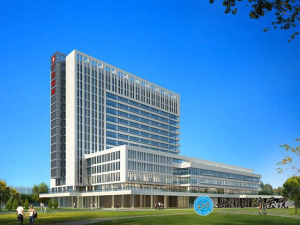 岳陽廣濟醫(yī)院有限公司陀螺刀項目（報批稿）