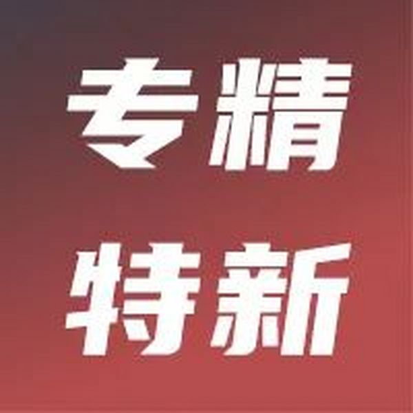 喜讯！太阳集团城网站入选“2023年湖南省专精特新中小企业”公示名单