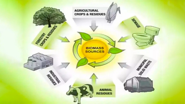 生物质能源的特性，优缺点以及后续的产业展