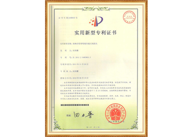 专利