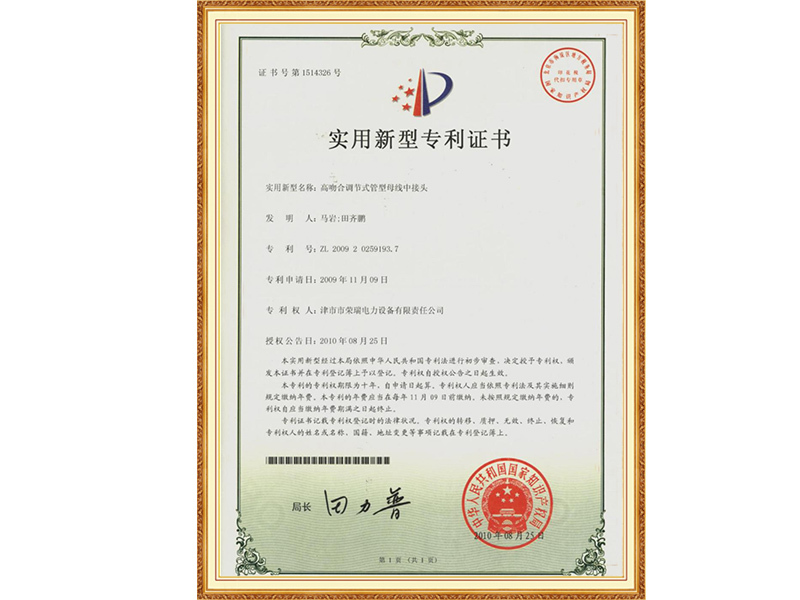 专利