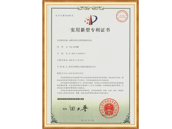 专利