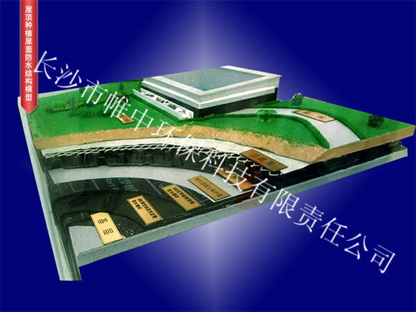 屋顶种植屋面防水结构模型
