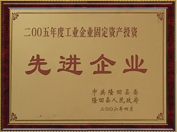 固定資產(chǎn)投資先進(jìn)企業(yè)