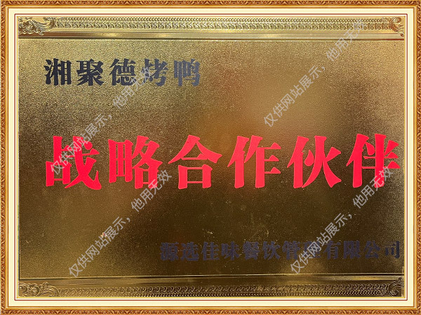 战略合作伙伴