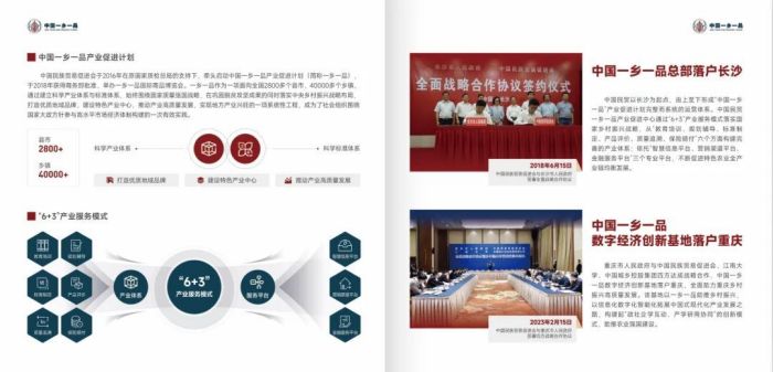图片 365