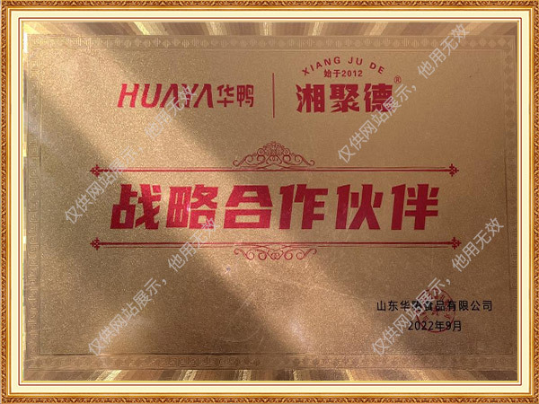 山东华鸭食品有限公司战略合作伙伴