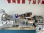 LM2500+燃气轮机组模型