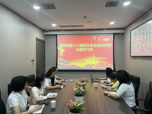 公司党支部组织党员学习湖南省委十二届四次全会会议资料