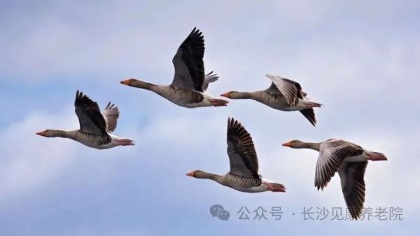 图片 5