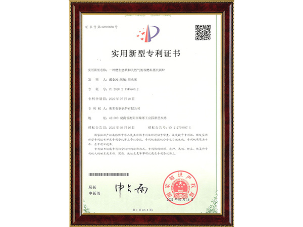一種然生物質(zhì)和天然氣的雙燃料蒸汽鍋爐