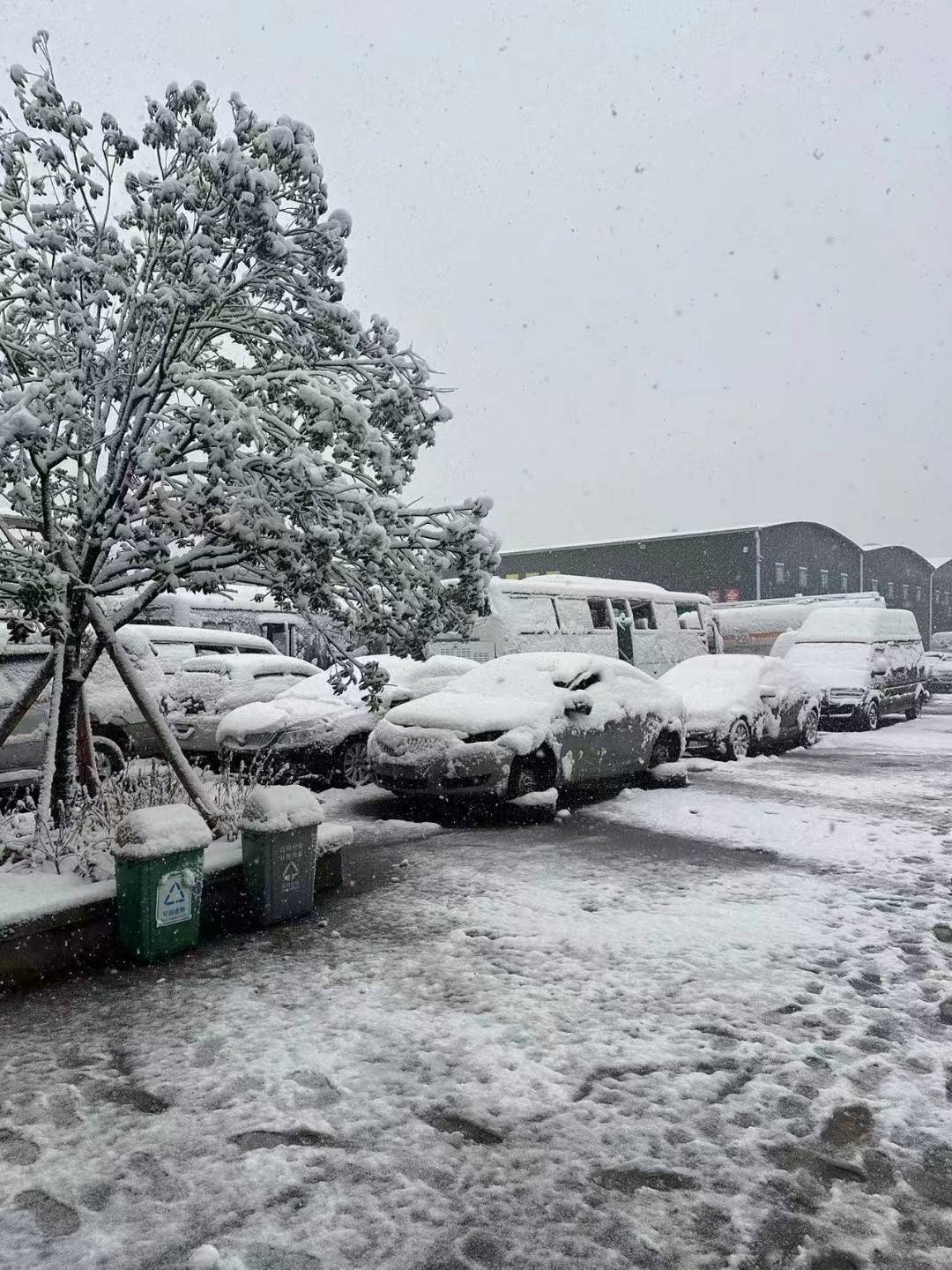 雪3