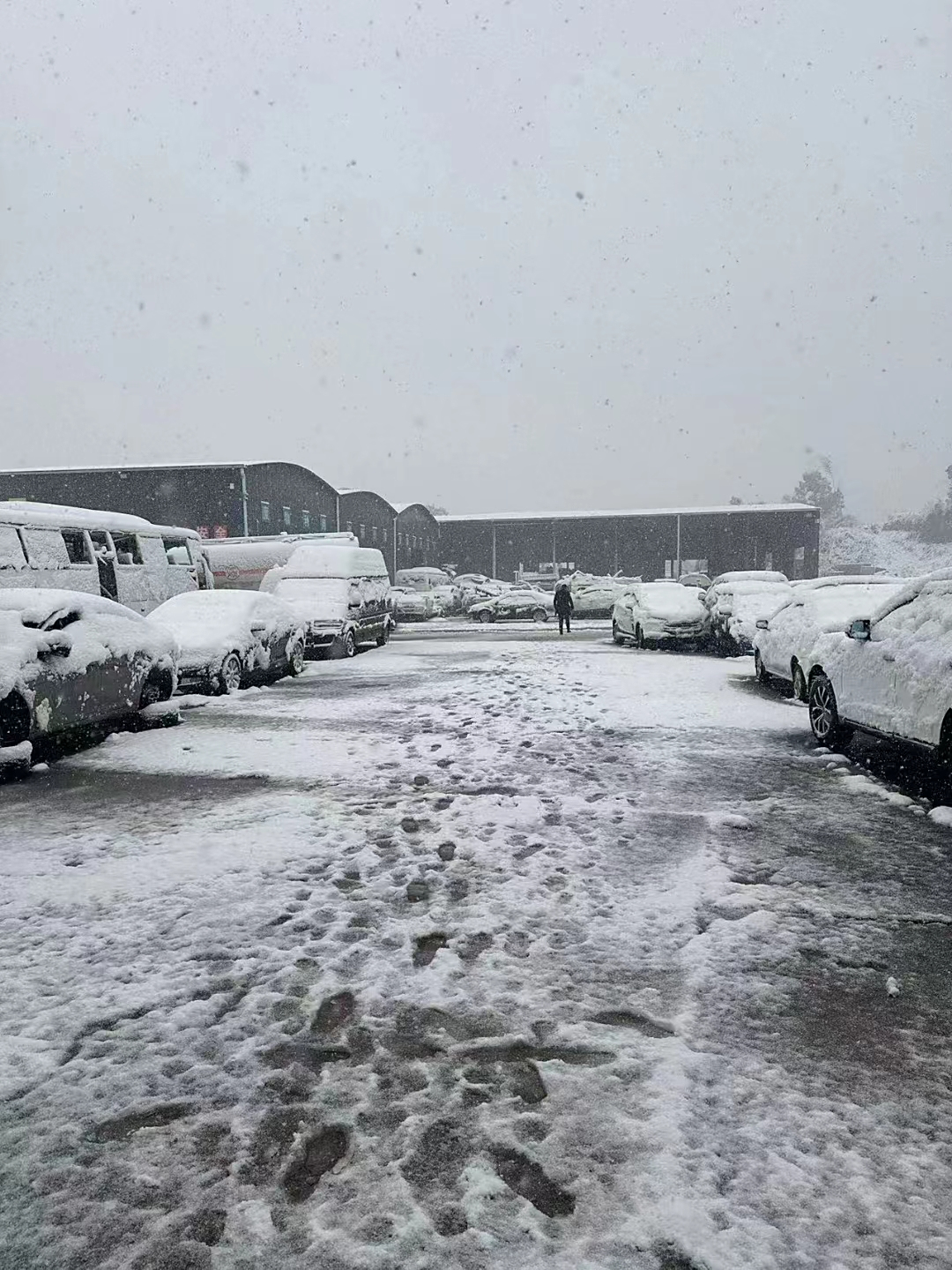 雪1