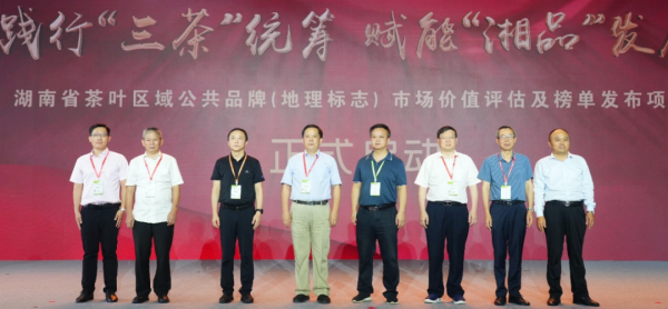 湘茶品牌再升级 湖南省将启动茶叶区域公共品牌市场价值评估