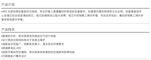湖南荣飞科技有限公司,LED屏显示系统,电视监控系统,电子巡更系统,公共广播系统,会议系统,嘉河液晶拼接屏,经济型套装系列,酒店客房系统,可视对讲系统,门禁系统,正通安防系列,周边防范系统,综合布线系统