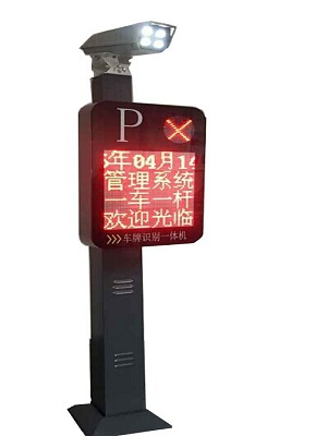 D款