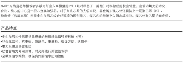 湖南荣飞科技有限公司,LED屏显示系统,电视监控系统,电子巡更系统,公共广播系统,会议系统,嘉河液晶拼接屏,经济型套装系列,酒店客房系统,可视对讲系统,门禁系统,正通安防系列,周边防范系统,综合布线系统